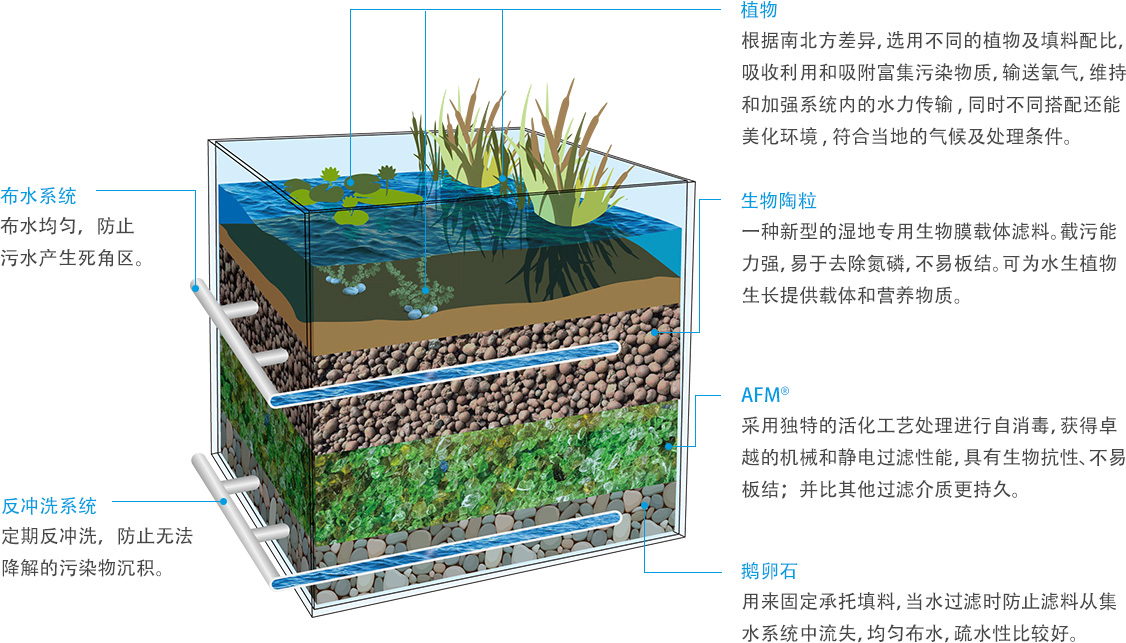 戴思樂海綿城市濕地