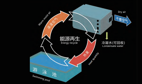 室內(nèi)泳池，室內(nèi)恒溫泳池，室內(nèi)泳池除濕